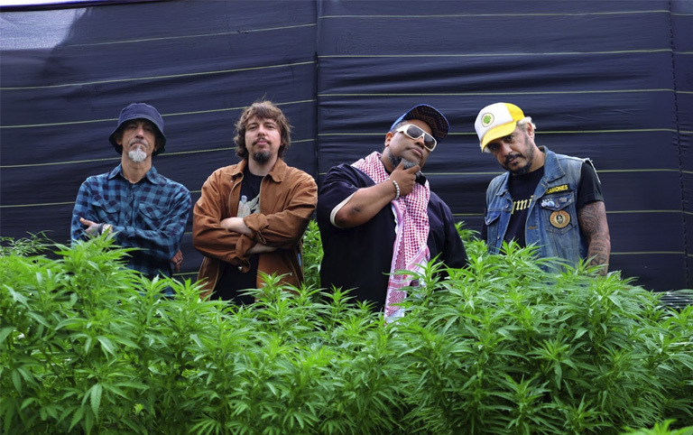 Fotografia colorida da banda planet hemp com 4 integrantes em uma plantação de maconha. Foto por Rodrigo Braga para lançamento do videoclipe Jardineiro